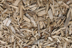 biomass boilers Tumby